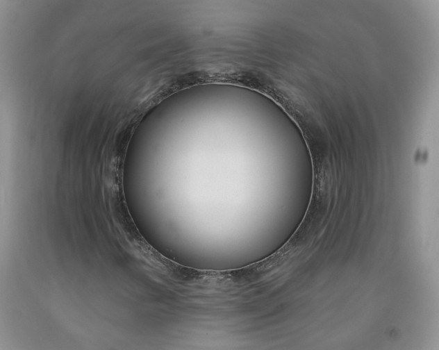 X0000091991346200709201439