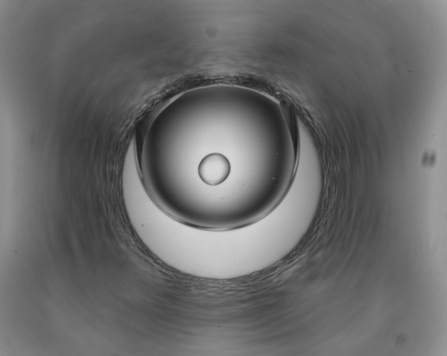 X0000091991348200709201439