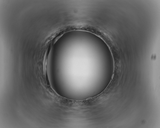 X0000091991349200709201439