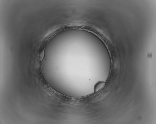 X0000091991350200709201439