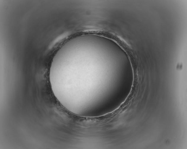 X0000091991351200709201439