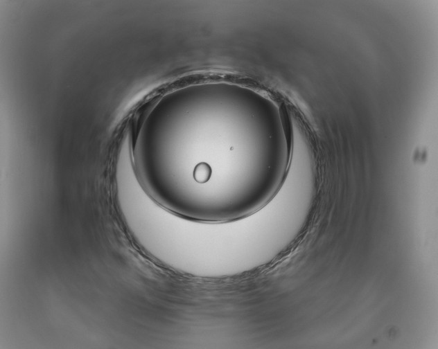 X0000091991352200709201439