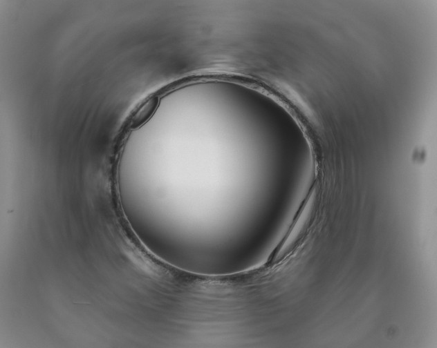X0000091991356200709201439
