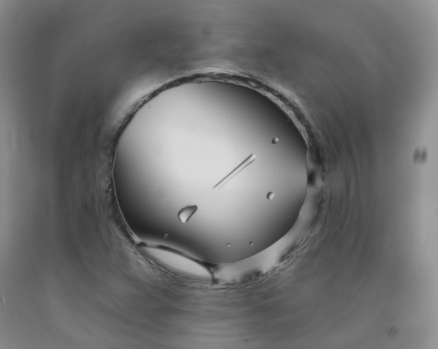 X0000091991359200709201439