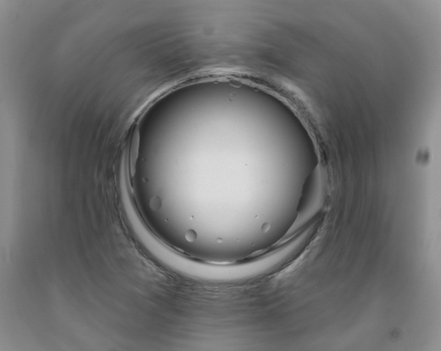 X0000091991361200709201439