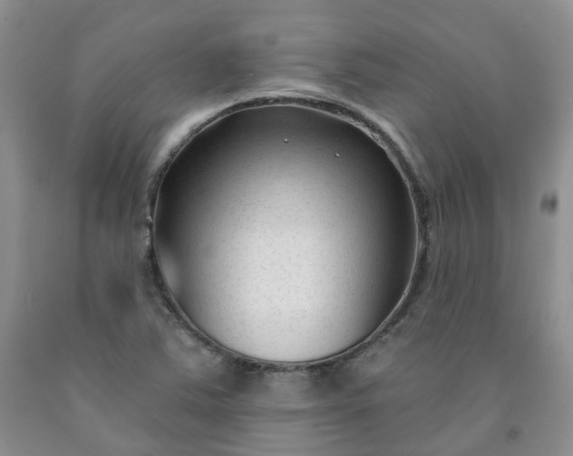 X0000091991363200709201439