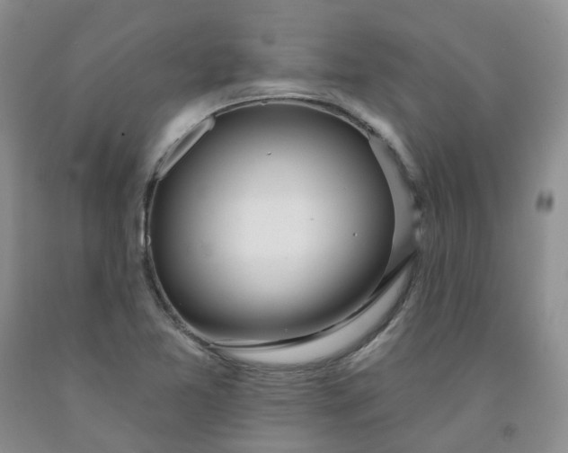 X0000091991365200709201439