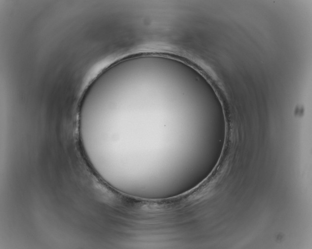 X0000091991366200709201439