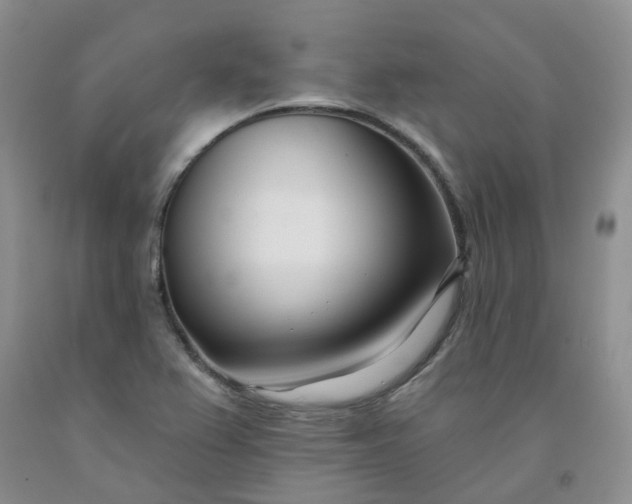 X0000091991367200709201439