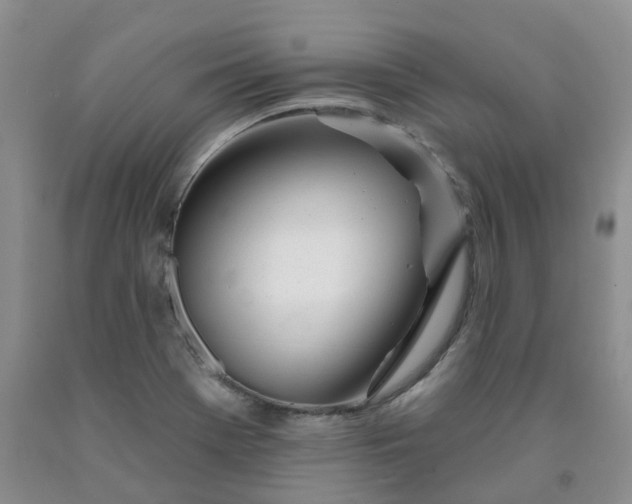 X0000091991369200709201439