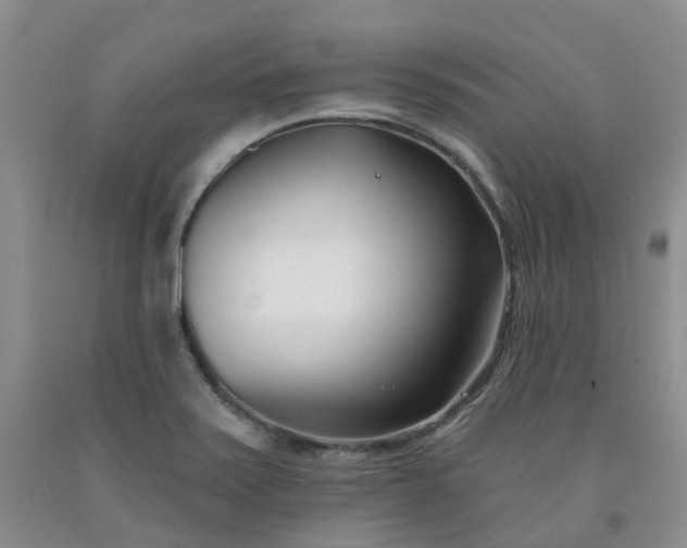 X0000091991371200709201439