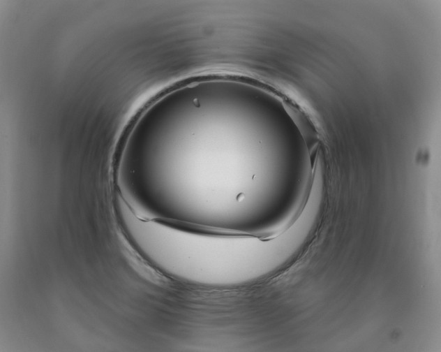 X0000091991372200709201439