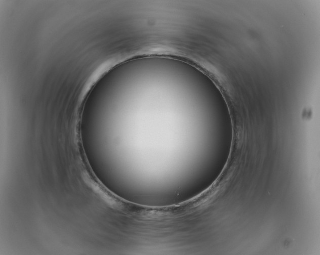 X0000091991374200709201439