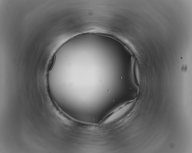 X0000091991375200709201439