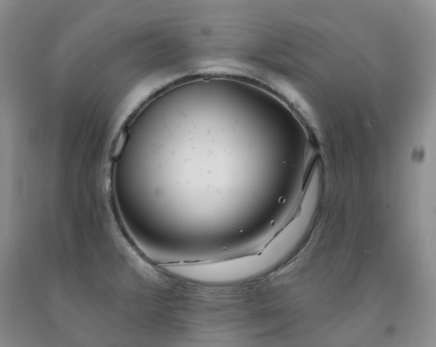 X0000091991376200709201439