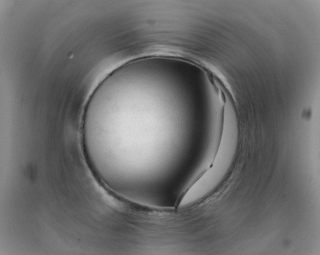 X0000091991379200709201439