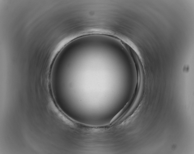 X0000091991381200709201439