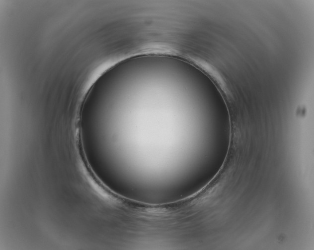 X0000091991383200709201439