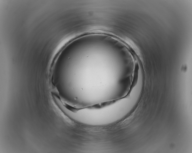 X0000091991384200709201439