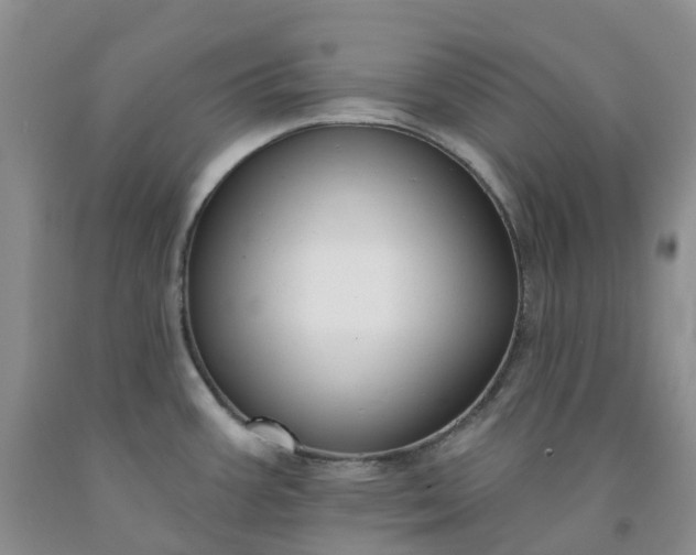 X0000091991387200709201439