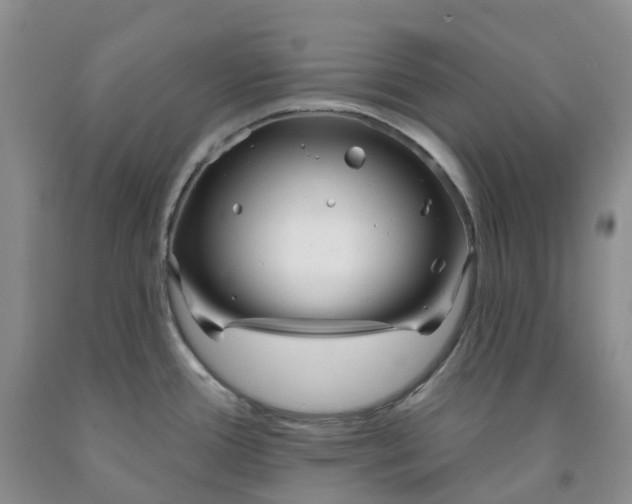 X0000091991388200709201439