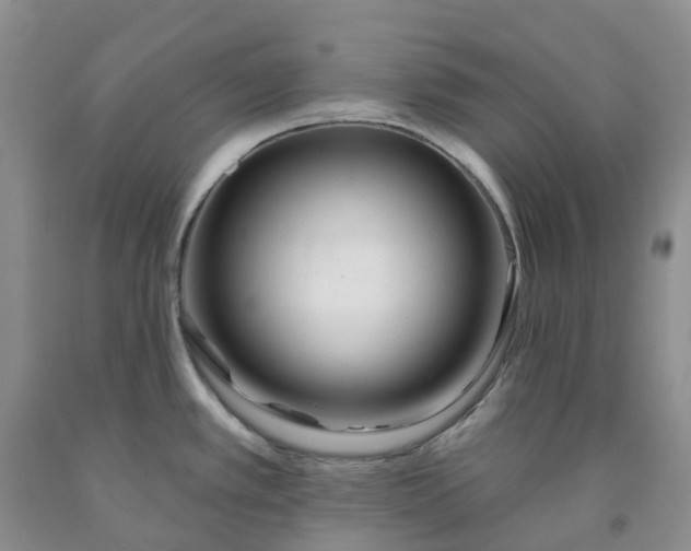 X0000091991389200709201439