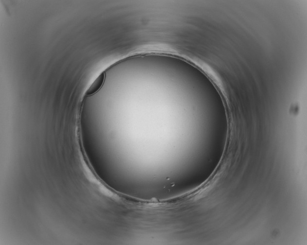 X0000091991390200709201439