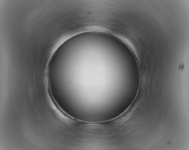 X0000091991391200709201439