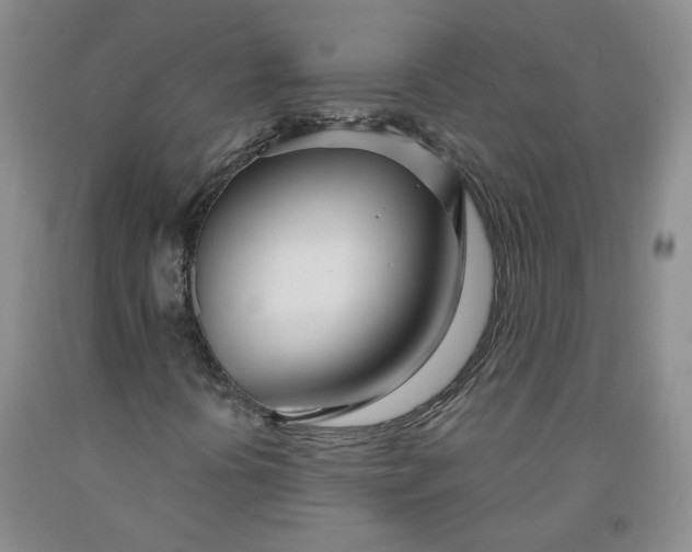X0000091991394200709201438