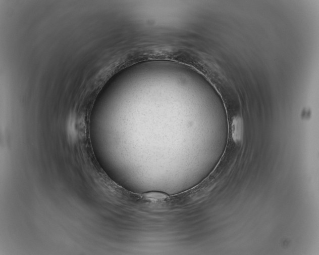 X0000091991395200709201438