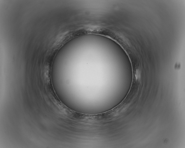 X0000091991396200709201438