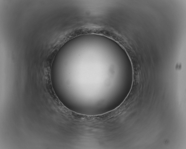 X0000091991397200709201438