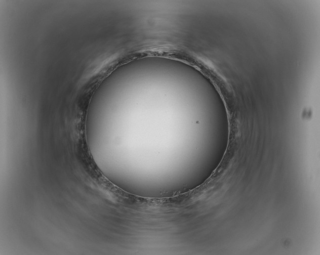 X0000091991399200709201438