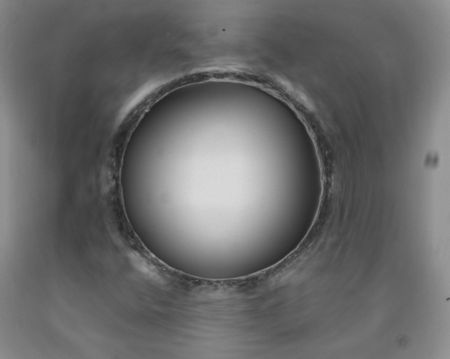 X0000091991400200709201438
