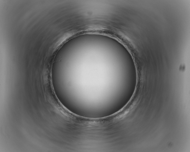 X0000091991401200709201438