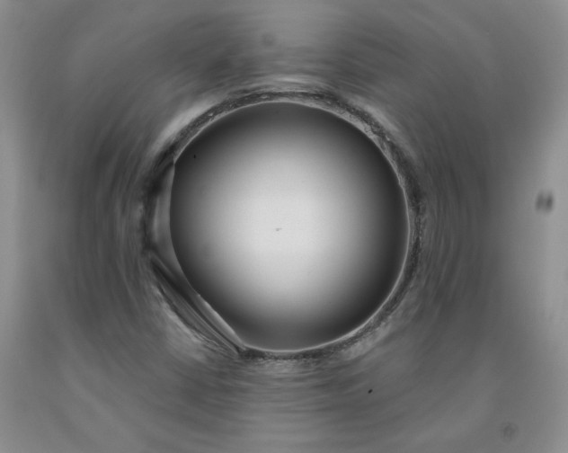 X0000091991402200709201438