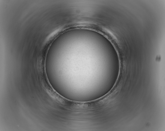 X0000091991403200709201438