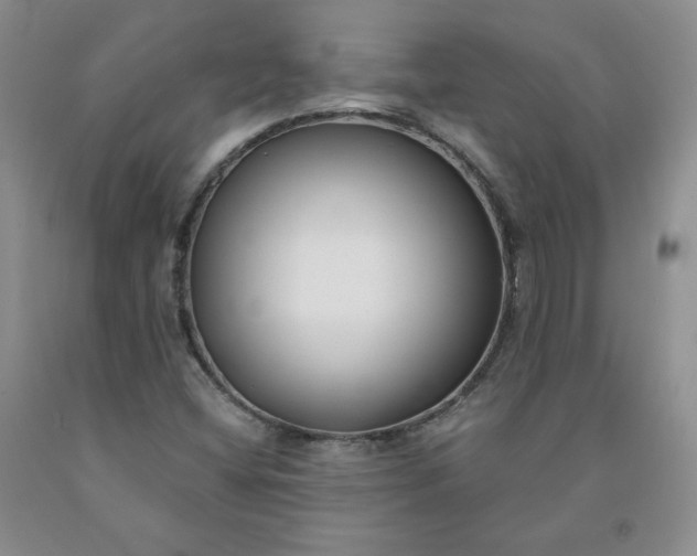 X0000091991404200709201438