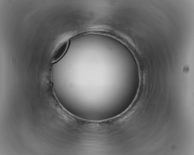 X0000091991405200709201438