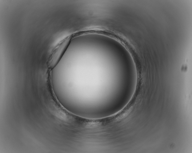X0000091991406200709201438