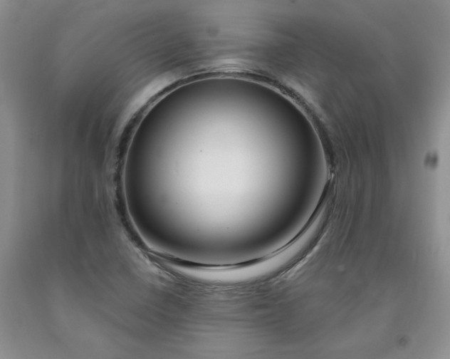 X0000091991410200709201438