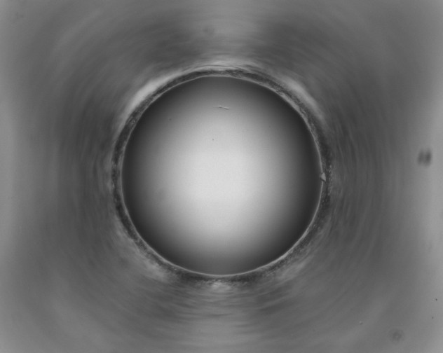 X0000091991412200709201438