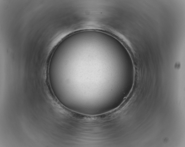 X0000091991415200709201438
