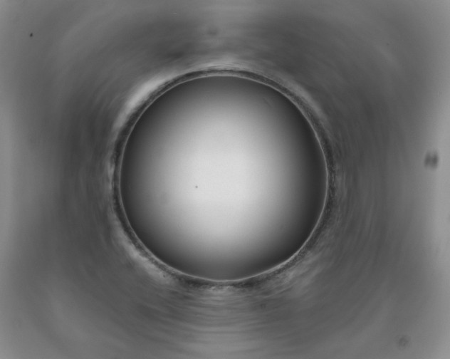 X0000091991416200709201438