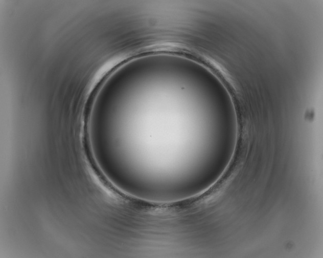 X0000091991418200709201438