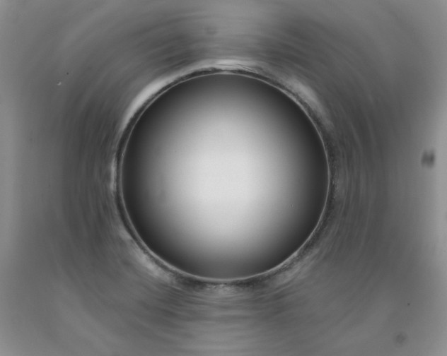 X0000091991420200709201438