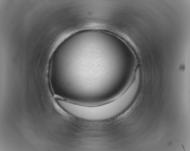 X0000091991421200709201438
