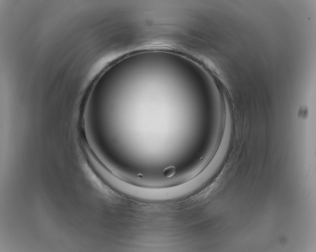 X0000091991422200709201438