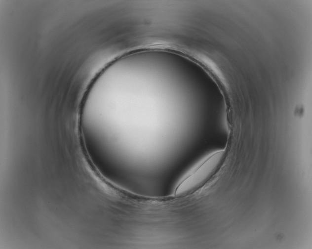 X0000091991424200709201438