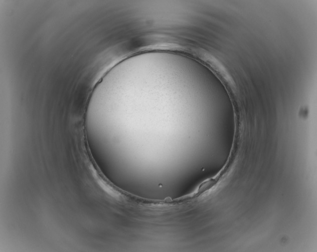 X0000091991425200709201438